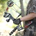 Leopard Rogue Dual-Use Steel Ball Compound Bow