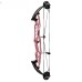 Stratosphere Hoyt Competition Compound Bow