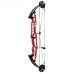 Stratosphere Hoyt Competition Compound Bow