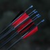 12 Carbon Fiber Arrows