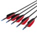 12 Carbon Fiber Arrows