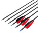 12 Carbon Fiber Arrows